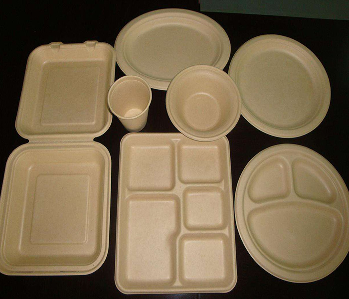 環(huán)保紙漿模塑歷來發(fā)展與應(yīng)用有哪些？